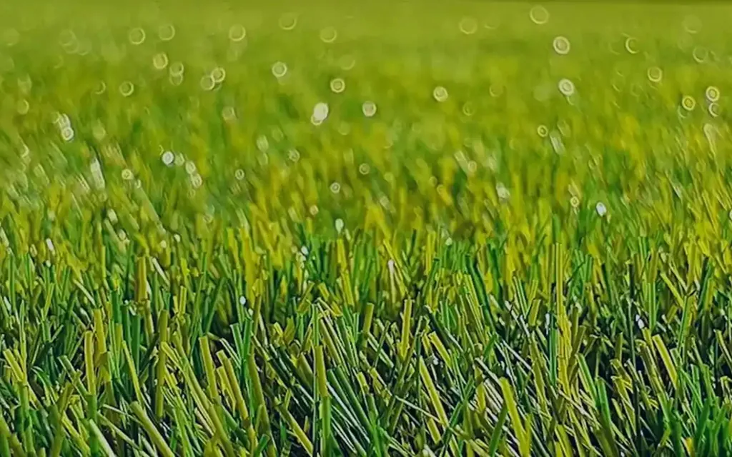A healthy, freshly mowed lawn maintained by APEX outdoor care on the Central Coast
