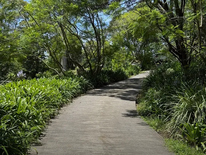 A clean driveway and tidy leafy garden maintained by APEX on the Central Coast