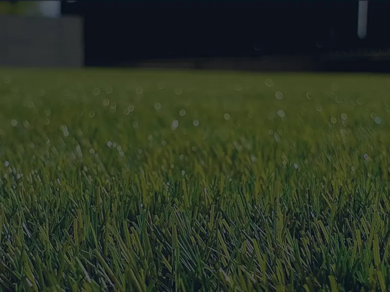 A lawn freshly mowed and edged by APEX outdoor care on the Central Coast